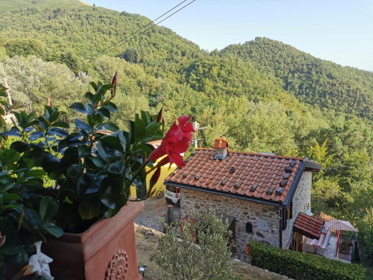 Deliziosa Casetta Sull'Appennino Toscano Montefegatesi Exteriér fotografie